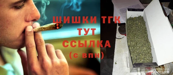 скорость Ладушкин