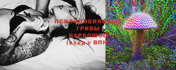 скорость Ладушкин
