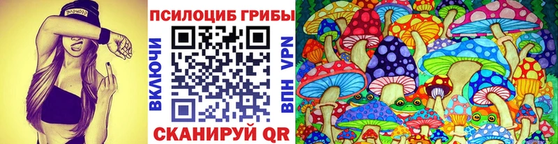 Купить закладки  Камешково  Галлюциногенные грибы мицелий 